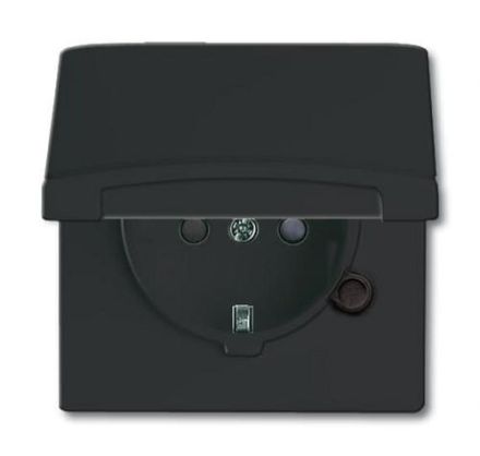 Busch-Jaeger 20 EUGKB-35-101 SCHUKO® socket insert, with hinged cover anthracite