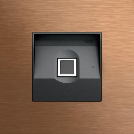 Gira 5551921 fingerprint module Sys106 br Keyless In
