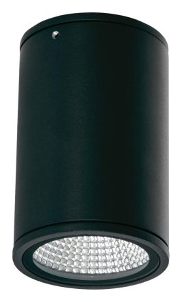EVN C541511202 round rigid anthracite 12W 230V IP54 ww LED ceiling light