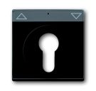 Busch-Jaeger 1755 SL/PZ-885-101 central plate, with labelling field, matt black