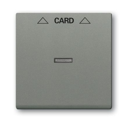 Busch-Jaeger 1792-803 central plate grey metallic