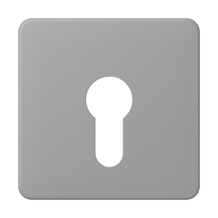 Jung CD525GR cover for key switch without dismantling protection, thermoplastic, CD series, grey