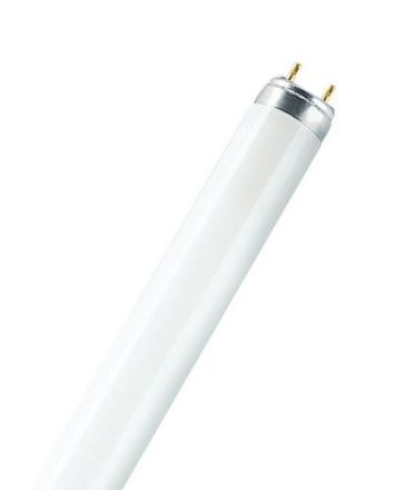 LEDVANCE Osram L 18W/865 fluorescent lamp 18W Daylight