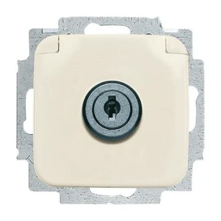 Busch-Jaeger 20 EUKSL-212-101 SCHUKO® socket insert, with hinged cover white
