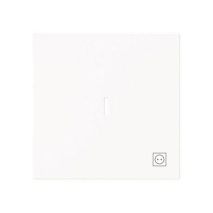 Busch-Jaeger 2CKA001751A3382 1789 ST-44M with symbol plug and transparent cover. Seesaw