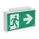 CEAG emergency light FT3EC4ICGL18 FT Exit Ceiling 30m CGL+ 1-8H LED emergency light