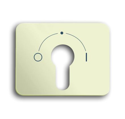 Busch-Jaeger 1755 SLPZ-22G-101 central plate ivory/white