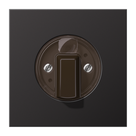 Jung AL1941D cover for rotary switch, painted aluminium, LS series, dark (painted aluminium)