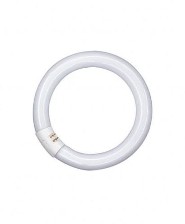 LEDVANCE Osram L 22W/827 C ring fluorescent lamp 22W INTERNA