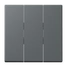 Jung LC993BF202 rocker switch 3-way, thermoplastic lacquered, LS series, gris foncé 31 ( LC32010 )