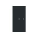 Busch-Jaeger 2CKA006220A0951 6231-21-45M 2-f.left with symbol light rocker