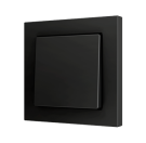 ZENNIO ZS551PB2A Single button Soft ZS55 | for 2 binary inputs | black