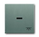 Busch-Jaeger 1789 LI-803 rocker with print, with small transparent dome, metallic grey