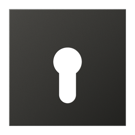 Jung AL2925AN cover for key switch without dismantling protection, painted aluminium, LS series, anthracite (painted aluminium)