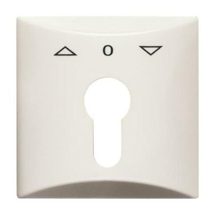 Busch-Jaeger 2155 PZ-32 central plate, with white imprint