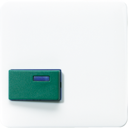 Jung CD642CWW cover for Ackermann, type 73642 C, green, CD series, alpine white