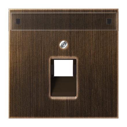 Jung ME2969-1NAUAAT cover for IAE/UAE connection boxes 1 x 8-pin, with label field, brass, LS series, antique brass