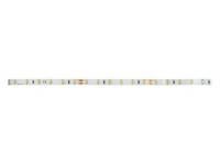 Brumberg 38202003 24V DC 9.6W/m 5m 3000K LED strip light