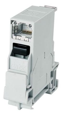 Telegärtner J80023A0000 RJ45Modul A Cat.6A STX mounting rail connector