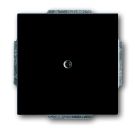 Busch-Jaeger 1742-81 blind central plate, with support ring anthracite