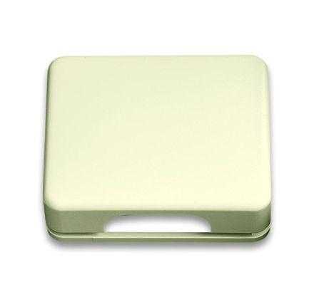 Busch-Jaeger 1746-22G-101 central plate ivory/white