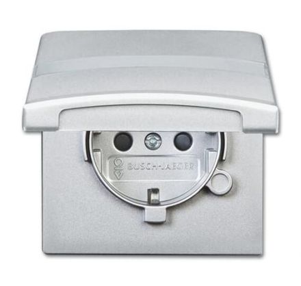 Busch-Jaeger 20 EUGKBN-33-101 SCHUKO® socket insert, with hinged lid and labelling field, aluminium silver