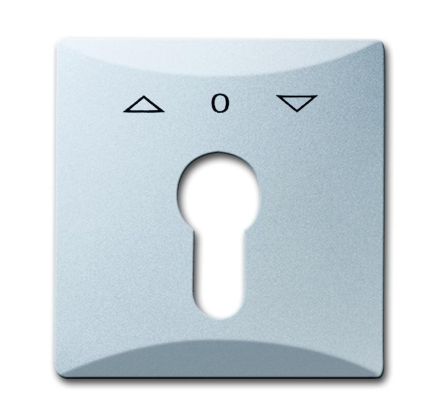 Busch-Jaeger 2155 PZ-33 central plate, with print aluminum silver