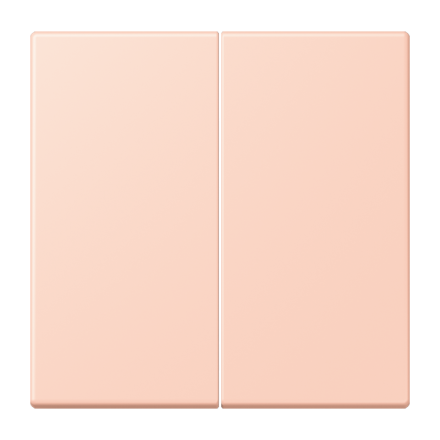 Jung LC1702234 LB-Management button 2-way, Duroplast painted, LS series, locre rouge clair ( LC32112 )