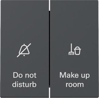 Gira 310428 Display hotel room Sys.55 anthr rocker switch