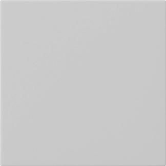 Gira 5372015 1f unprinted Sys 55 gr m rocker