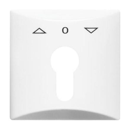 Busch-Jaeger 2155 PZ-34 central plate, with print alpine white