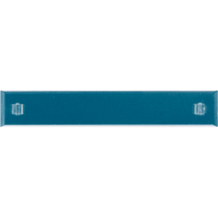 JUNG M20NA label field cover | with insert for label field 12x55 mm | transparent