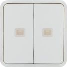 Berker 30863552 rocker switch 2f. f. W.1 button BA,2 lenses,pw