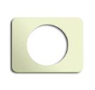 Busch-Jaeger 1756-22G central plate, for light signal ivory/white