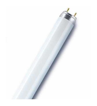 LEDVANCE Osram L 30W/76 fluorescent lamp 30W NATURA