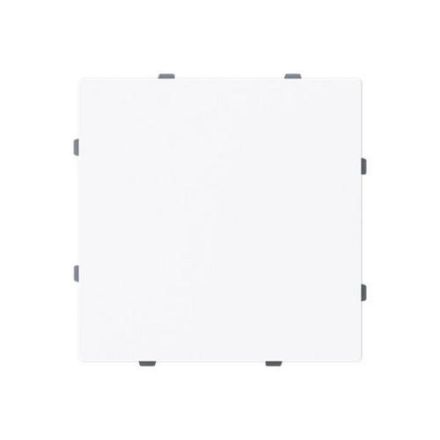 Busch-Jaeger 2CKA001710A4211 1742-44G with support ring blind central plate