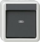 Gira 010730 rocker switch cross WG surface-mounted grey
