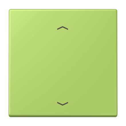 Jung LC101P221 rocker switch, with arrow symbols for 1-way button, LS series, vert clair